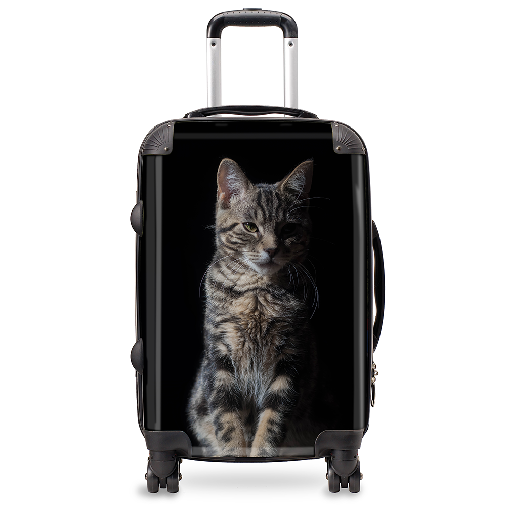 Personalised cabin suitcases hotsell